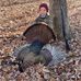 Carl Newcomb - Facebook