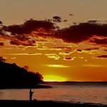 Carl Nigro - @carlnigro - Instagram