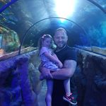 Carl Nolan - @carl.nolan.79 - Instagram