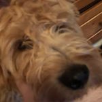 Nolan Carl - @nolancarl1 - Instagram
