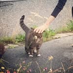 carl nyström - @carllnystrom - Instagram