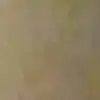 carlaoates800 - @carlaoates800 - TikTok