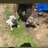 Carlo Phipps - @carlo.phipps - TikTok