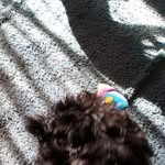 Carl Pickell - @pickell_carl - Instagram