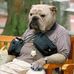Carl Pickering - Facebook