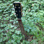 Carl Platts - @guitarbassndrums - Instagram