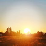 david poehler - @carlpoehler_2021 - Instagram