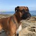 Carl Poll - Facebook