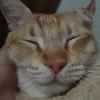 Carl_Prime - @sarno0s0 - TikTok