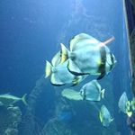 Karl Probst - @probst289 - Instagram