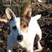 Carl Protheroe - Facebook