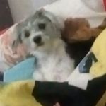 carl purcell - @purcell486 - Instagram
