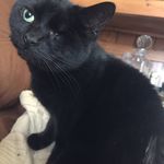 Carl Purdy - @purdycarl1 - Instagram