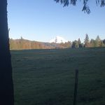 Carl Purdy - @17snowman - Instagram