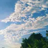 carley - @carley.pyles - TikTok