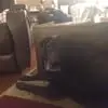 carlraderjr - @carl.rader.jr - TikTok