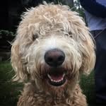 Carl - @_carlrapp - Instagram