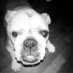 Carl Rask - Facebook