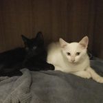 Carl & Ritchie - @carl_and_ritchie - Instagram