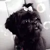 Carl Rivers - @carl.rivers8 - TikTok