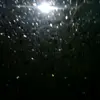 cjrivers - @carl_rivers20 - TikTok