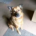 Carl Anthony Robins - @carlrobins66 - Instagram