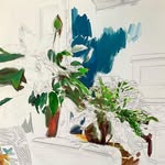 Carl Robinson - @carlrobinson___ - Instagram