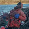 Eastrockfishes - @eastrockcarl - TikTok