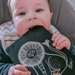 Carl Roe - @roe.carl - Instagram