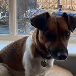Carl Roe - @carlroe3 - Instagram