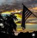Carl Roe - Facebook