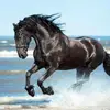 Carlene Roepke640 - @carleneroepke640 - TikTok