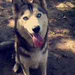@carlos_roessler51 - Instagram