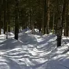 carlroessler619 - @carlroessler619 - TikTok