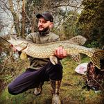 Carl Rollins - @carl.rollo - Instagram