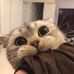 Carl Roman - Facebook
