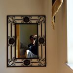 Carl Rooney - @crphotraxiaphotography - Instagram