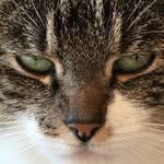 Carl Roßner - @coren153 - Instagram