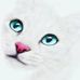 Karl Roux - Facebook