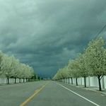 Carl D Rowley - @carlrowley - Instagram