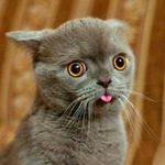 Carl Rowley - @sanjuricus - Instagram