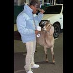 Carl Roy - @mcar___ - Instagram