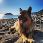 Carl Sargent - @kamayasitau - Instagram
