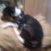 Carl Satterwhite - Facebook