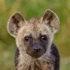 Carl Saunders - @carl.s0 - TikTok
