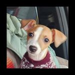 Carl Callie Schafer - @carlschafer84 - Instagram