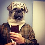 Carl Schiff - @shift.inc - Instagram