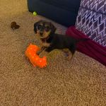 Carl Schroeder - @carl.schroeder.7106 - Instagram