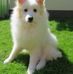 Karl Senft - Facebook