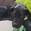 Carl Stark - @carl.stark3 - TikTok